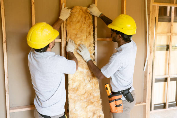 Best Wall Insulation Installation  in Citronelle, AL